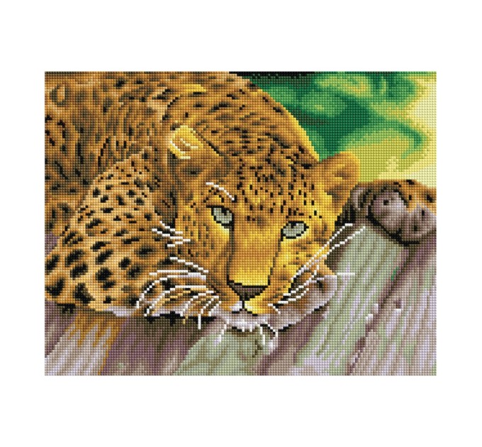 Мозаика алмазная Три совы «Леопард», 30х40 см, холст АМ3040_47534