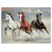 Мозаика алмазная Три совы «Тройка лошадей», 50х70 см, холст АМ5070_47582