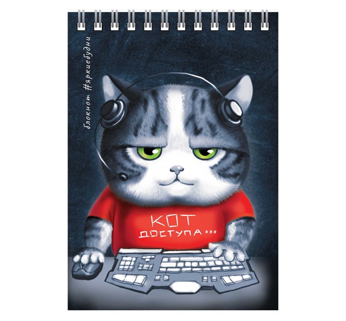 Блокнот А6, 80 л., на гребне, «Аниме кот» 64307