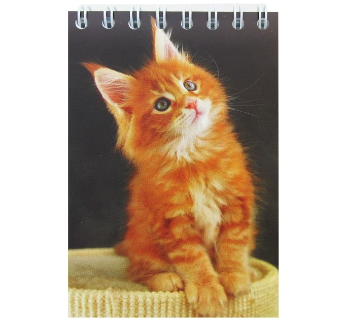 Блокнот A7, 50 л., на гребне 4с012