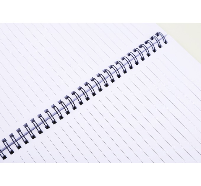 Блокнот A6, 80 л., на пружине, «Забавные котята» ВХ-А6-3533-1-4