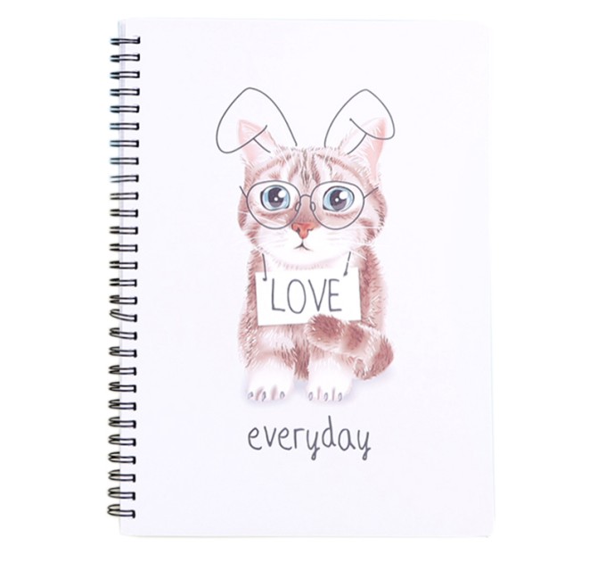Блокнот A6, 80 л., на пружине, «Забавные котята» ВХ-А6-3533-1-4