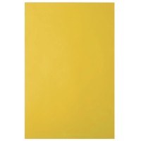 Бумага A4, 10 л., 80 80 г/м², горчичный, IQ «Color intensive»+файл IG50/файл