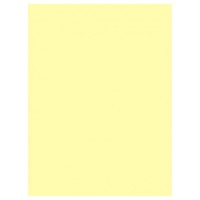 Бумага A4, 10 л., 80 г/м², желтый, IQ «Color pale»+файл YЕ23/файл