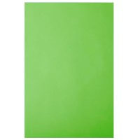 Бумага A4, 10 л., 80 г/м², зеленая липа, IQ IQ «Color intensive»+файл LG46/файл