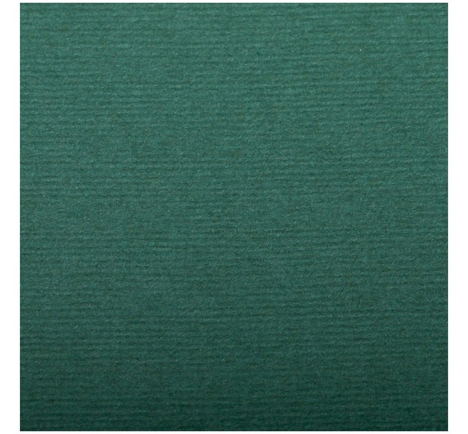 Бумага для пастели 50х65 см, 130 г/м², верже, хлопок, темно-зеленый 93498C