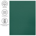 Бумага для пастели 50х65 см, 130 г/м², верже, хлопок, темно-зеленый 93498C