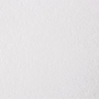 Бумага рисовальная 210х297, 1 лист, ГОЗНАК СПБ 113208