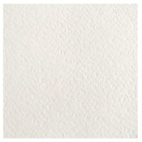 Бумага рисовальная 297х420, 1 лист БР-0361