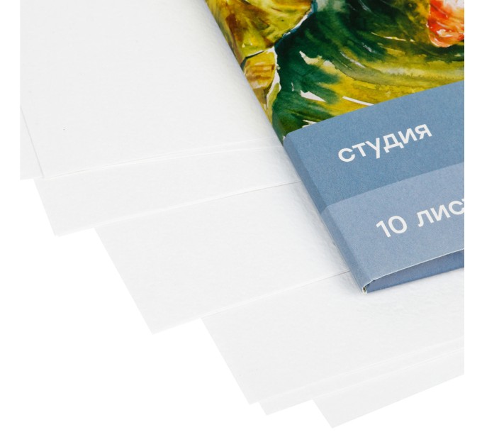 Папка для акварели А4, 10 л., «Студия», 200 г/м², среднее зерно 40C03F710W
