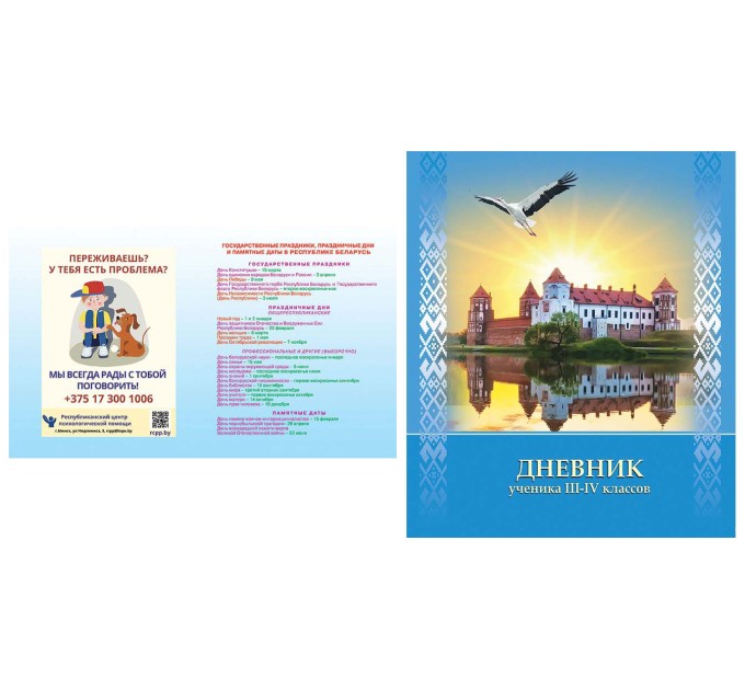 Дневник учащегося 3-4 классов, плотная обложка (с мальчиком), 2021 г 21с53.1