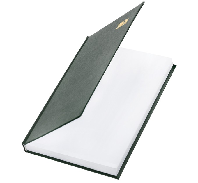 Ежедневник A5, 160 л., датированный, бумвинил, зеленый, 2024 г 115138