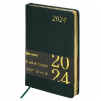 Ежедневник A5, 168 л., датированный, кожзам, золотой срез, темно-зеленый, «Iguana», 2024 г 114852