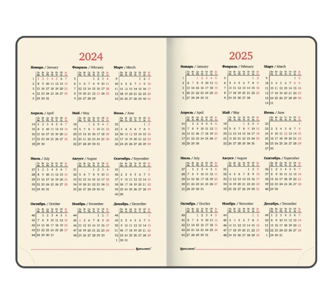 Ежедневник A5, 168 л., датированный, кожзам, золотой срез, темно-зеленый, «Iguana», 2024 г 114852