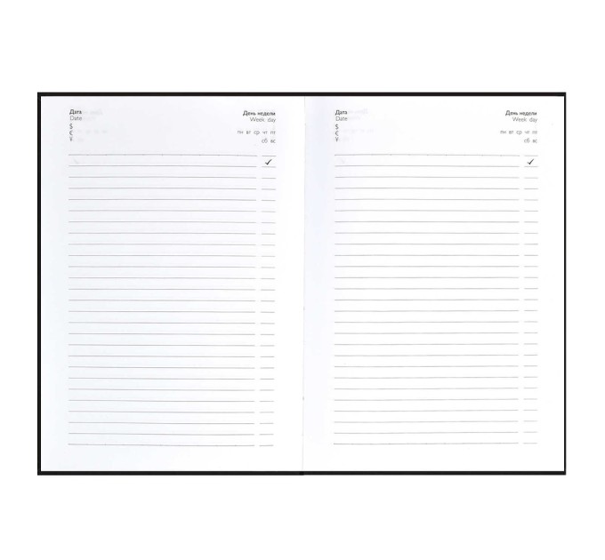 Ежедневник А5, 80 л., «Архитектура» 61467