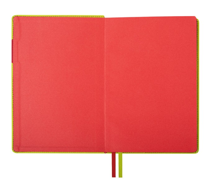 Ежедневник А5, 136 л., недатированный, кожзам, красный срез, светло-зеленый, «AIM» 113417