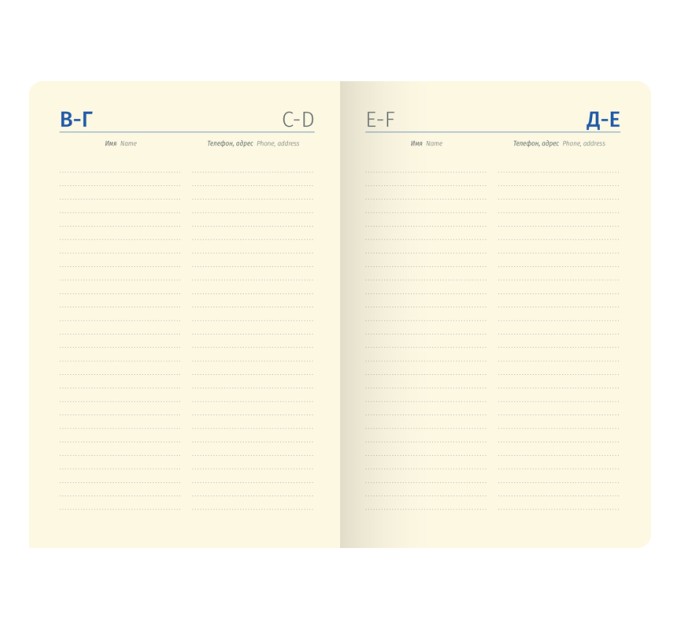 Ежедневник B6, 160 л., недатированный, кожзам, «Spring», полноцветный срез, салатовый UD0_88603