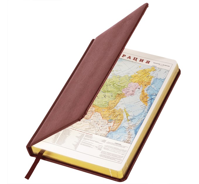 Ежедневник А5, 160 л., недатированный, кожзам, золотой срез, темно-коричн., «IGUANA» 125090