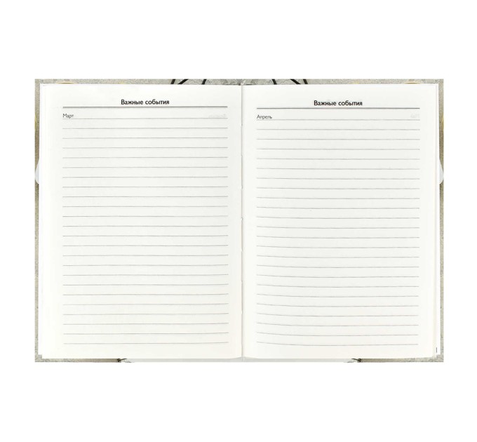 Ежегодник учителя A6+, 256 л., «Мудрость» 58638