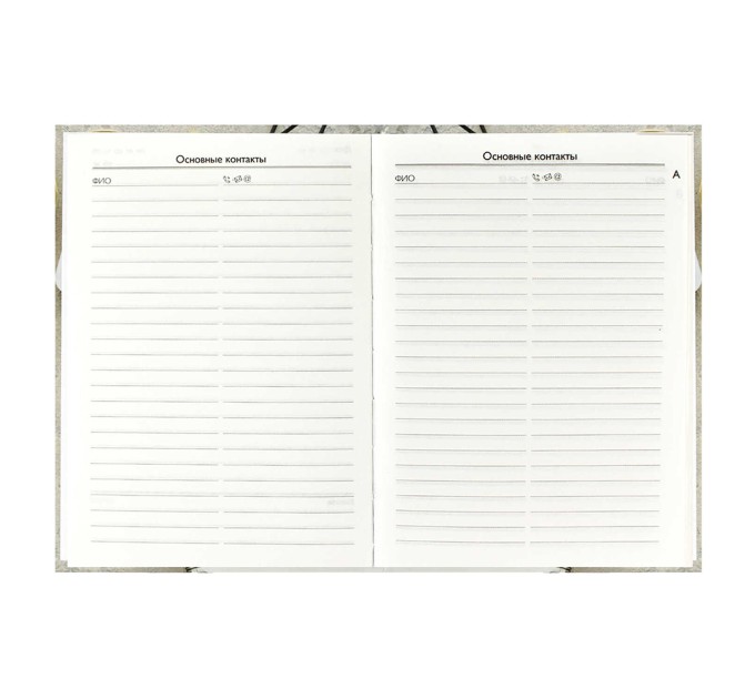 Ежегодник учителя A6+, 256 л., «Мудрость» 58638