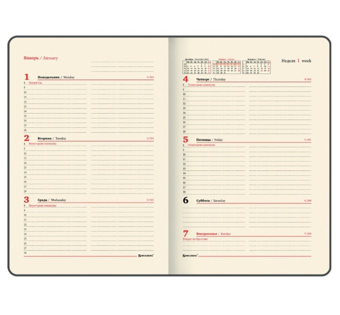 Еженедельник A5, 64 л., датированный, кожзам, золотой срез, синий, «Iguana» (2024 г.) 115023