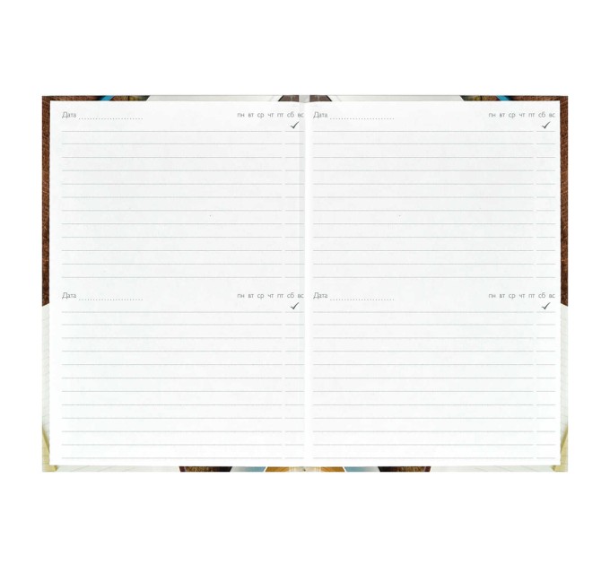 Ежегодник учителя А6, 256 л., «Деловой стиль» 62338