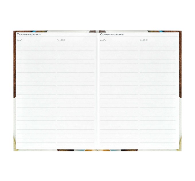 Ежегодник учителя А6, 256 л., «Деловой стиль» 62338