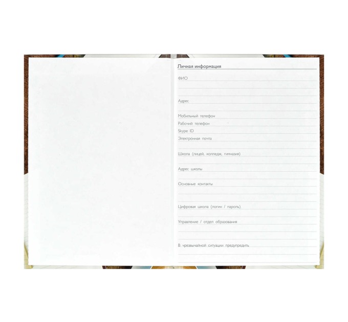 Ежегодник учителя А6, 256 л., «Деловой стиль» 62338