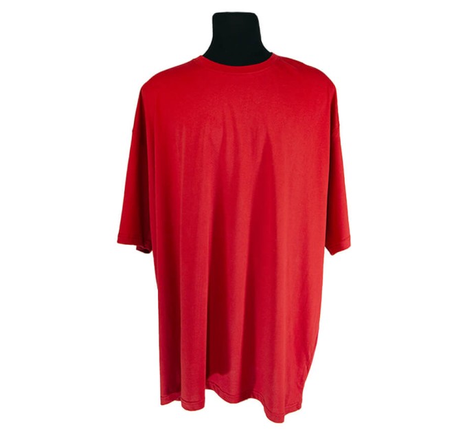 Мужская футболка JAMES &Nicholson