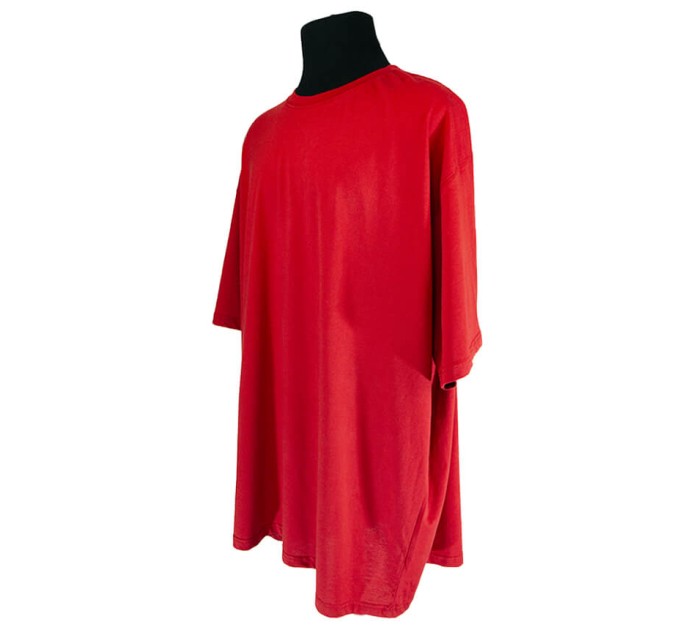 Мужская футболка JAMES &Nicholson