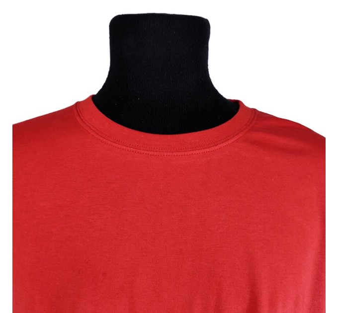 Мужская футболка JAMES &Nicholson