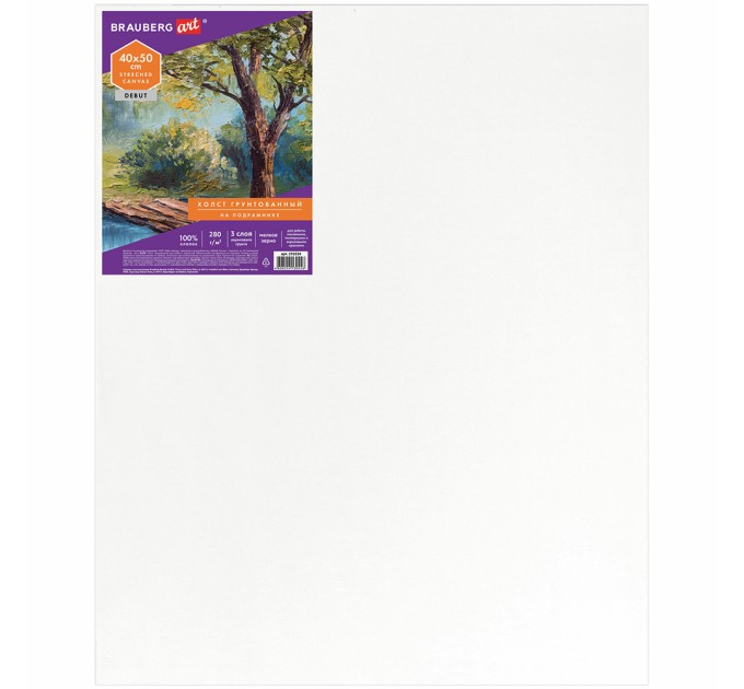 Холст на подрамнике 40х50, 100% хлопок, мелкое зерно, грунтованный 191024