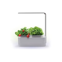 Компактный смарт-сад iGarden LED с подсветкой Компактный смарт-сад iGarden LED с подсветкой