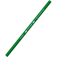 Карандаш по стеклу, металлу, пластику FOR GMP, зеленый, ВКФ 1Р-1384