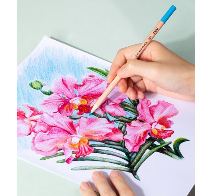 Карандаши 24 цвета CC124-24