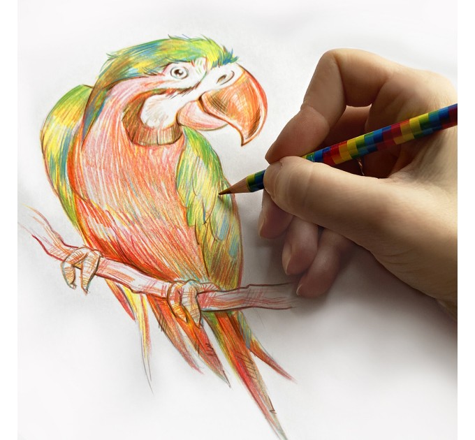 Карандаш с многоцветным грифелем, мягкий, ЮНЛАНДИЯ 181788