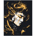 Картина по номерам Фрея (с краской-металлик) «Воительница тьмы», 40х50 см, холст PNB/PLZ-133