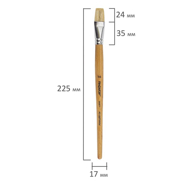 Кисть ПИФАГОР Щетина, плоская, № 16 200877