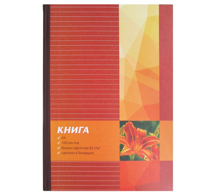 Книга канцелярская A4, 100 л., линейка А4-002
