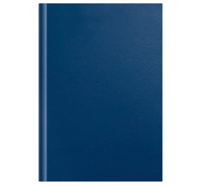 Книга канцелярская A4, 100 л., бумвинил, линейка 7с002