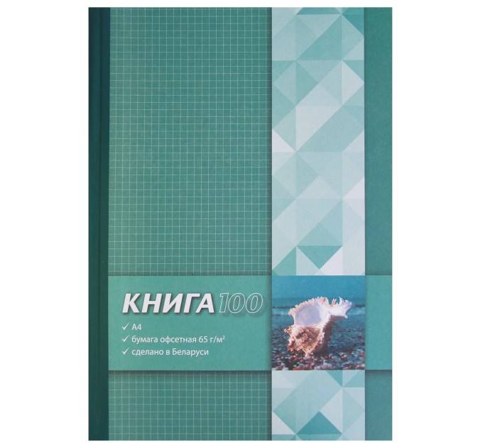 Книга канцелярская A4, 100 л., клетка А4-001