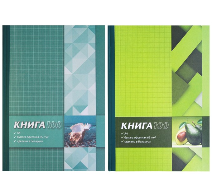 Книга канцелярская A4, 100 л., клетка А4-001