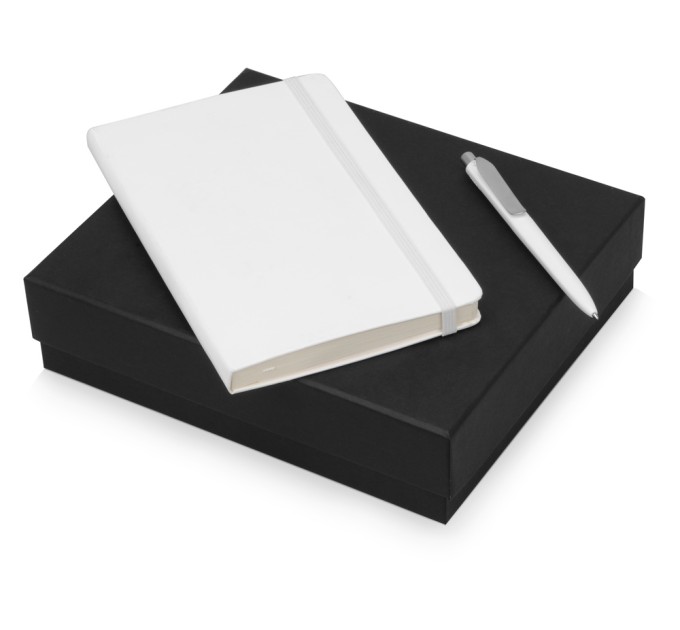 Подарочный набор Moleskine Picasso с блокнотом А5 и ручкой