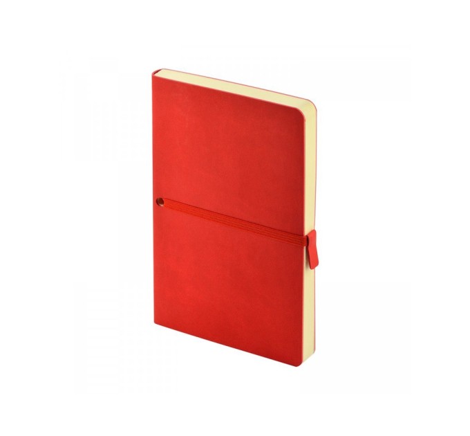 Ежедневник недатированный А5 Tokyo