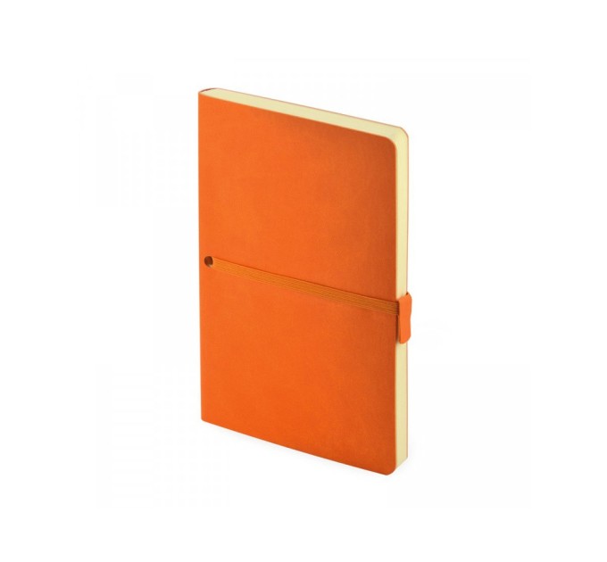 Ежедневник недатированный А5 Tokyo