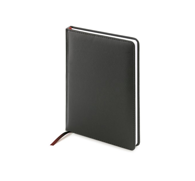 Ежедневник недатированный А5 «Leader»