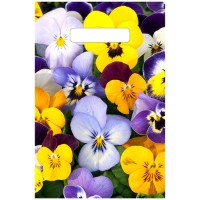 Пакет вырубной Анютины глазки