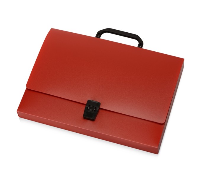 Папка-портфель А4