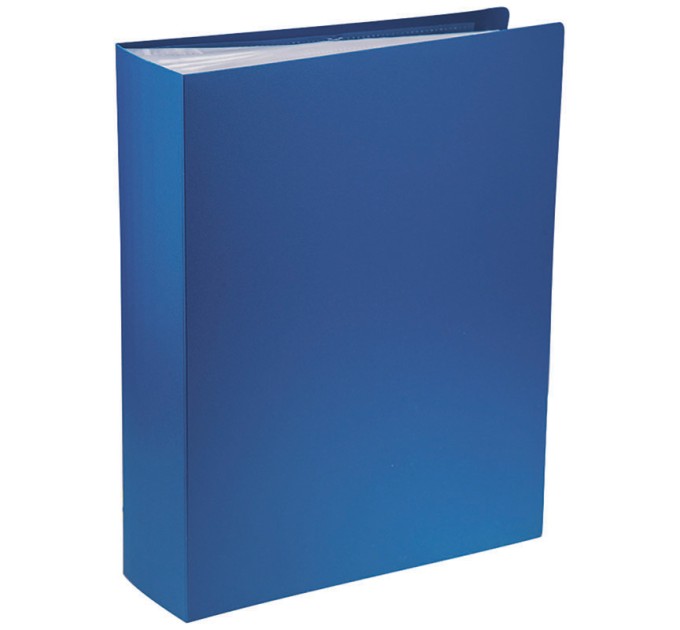 Папка на 100 вкладышей A4, синяя F100L2_10266