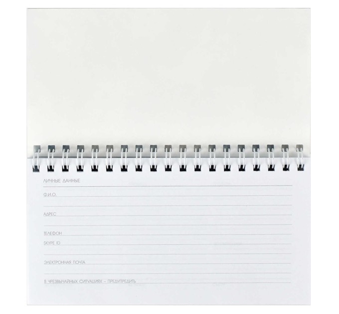 Планинг 165х85, 64 л., на гребне, «Фразы» 61588